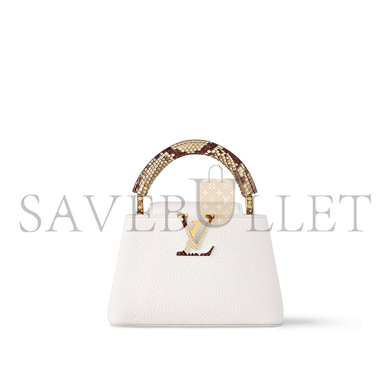 LOUIS VUITTON CAPUCINES MINI N85515 (21*13.6*8cm) 